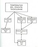 Bild 10 Aus DA Boell "Entwicklungsdauer von Phytoseiuslus persimilis in Abhängigkeit der Dauertemperatur"