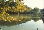 A 15 Der Fischteich von Bad Radkersburg im Herbst